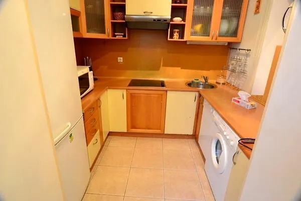 Premium Rent In Kiev Centre - Kievアパートメント